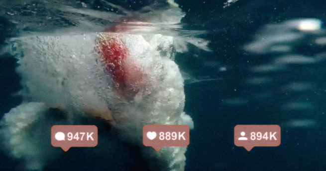 Acordaos-cuando-volvamos-a-ser-libres-covid19-frames-video-hicandnunc-filmworks-guime-toni-garrido